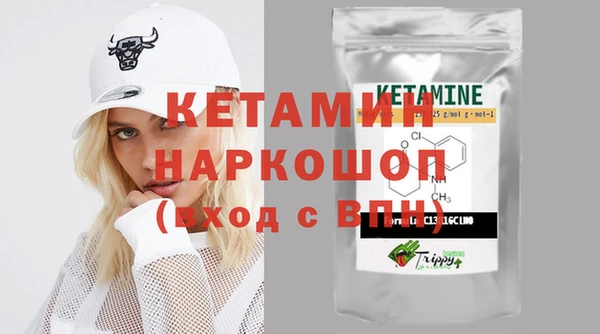 шишки Кирсанов