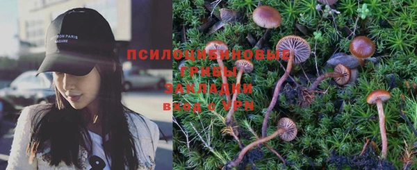 крисы Няндома