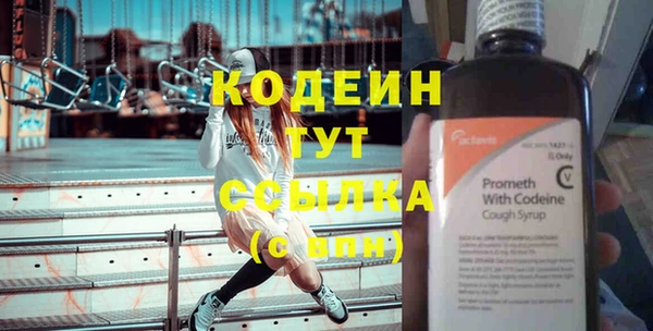 крисы Няндома