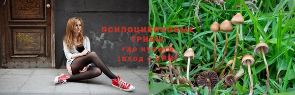 крисы Няндома