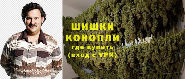 ГАЛЛЮЦИНОГЕННЫЕ ГРИБЫ Нязепетровск